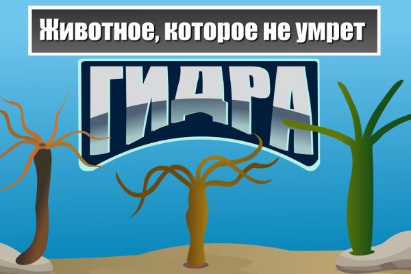 Мега настоящая