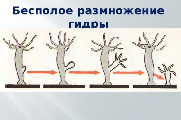 Кракен наркоз магазин