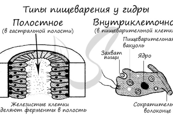 Кракен адрес тор